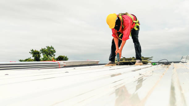 Roof Moss and Algae Removal in Strasburg, OH